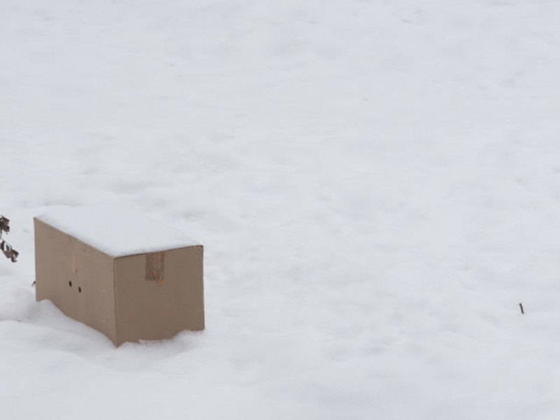 Box in Snow